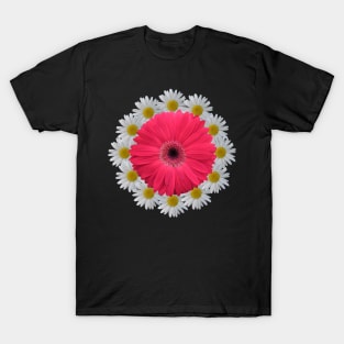 gerbera flowers daisies gerberas daisy flowery bloom floral T-Shirt